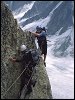 arete genepi