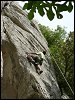 Fab, Magie Blanche 7a