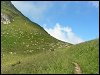 Moutons