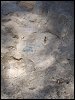 Image rduite