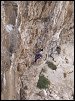 Image rduite