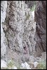 Niche sur la Normale du Mont Aiguille