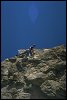 Image rduite