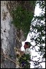 Image rduite
