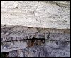 Image rduite