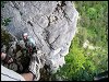 Image rduite