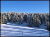 Paysage de neige