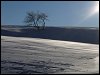 Abre neige